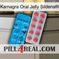 Kamagra Oral Jelly Sildenafil new14